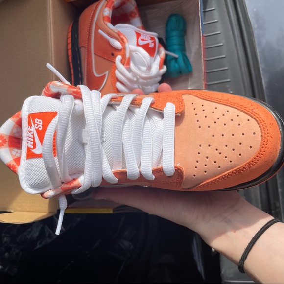 DUNK SB ORANGE LOBSTERS M 5/Wmn 6.5 - Picture 2 of 6